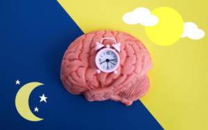 Circadian Rhythm | Do you know about our biological clock?